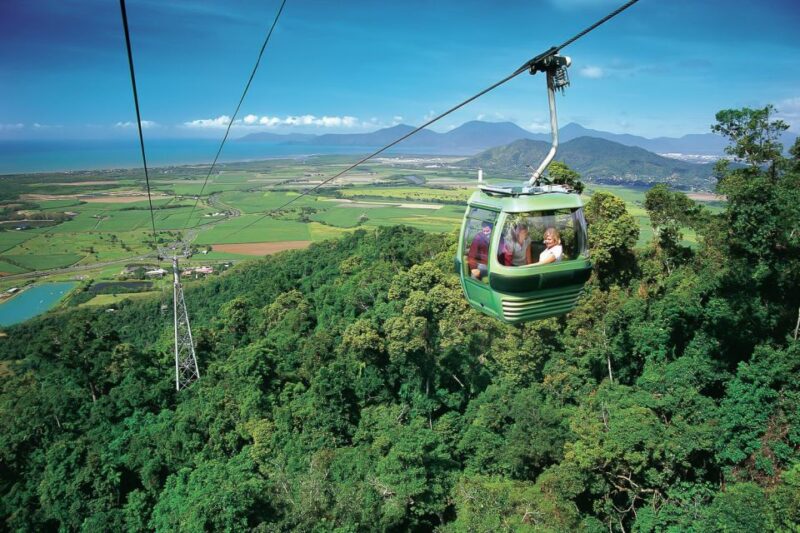 Kuranda & Hartleys Crocodile Adventures - Skyrail Rainforest Cableway