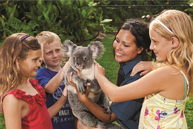 Kuranda Koala Gardens General Entry Ticket - Visitor Feedback and Ratings