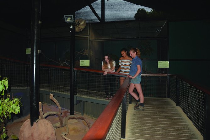 Kuranda Koala Gardens General Entry Ticket - Conservation and Rehabilitation Efforts