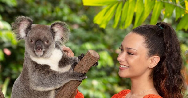 Kuranda: Koalas, Birds and Butterflies Experience - Pricing and Cancellation