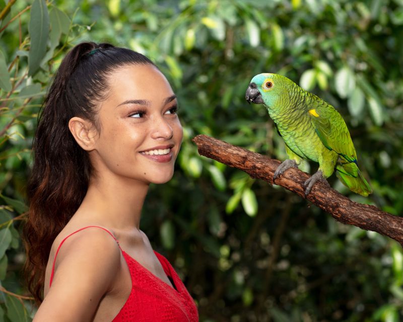 Kuranda: Koalas, Birds and Butterflies Experience - Wildlife Encounters