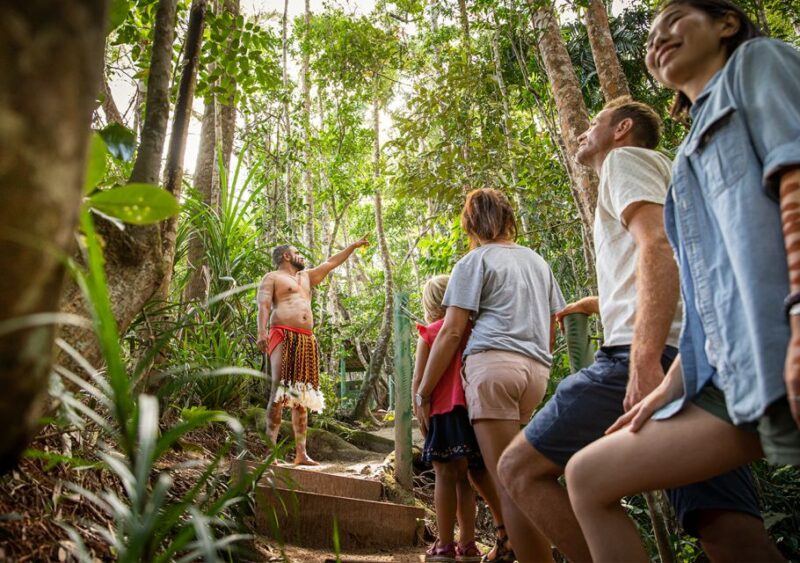 Kuranda Pamagirri Aboriginal Premium Full-Day Tour - Aboriginal Canvas Art Workshop