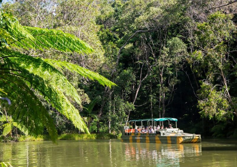 Kuranda: Rainforestation Nature Park - Aboriginal Experience