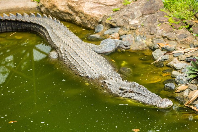 Kuranda Scenic Railway Day Trip From Cairns - Tour Inclusions