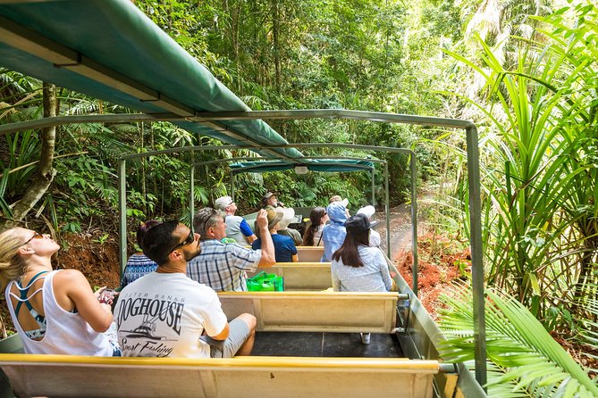 Kuranda Scenic Railway Day Trip From Cairns - Skyrail Rainforest Cableway