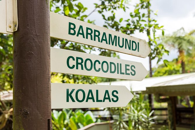 Kuranda Scenic Railway Day Trip From Cairns - Local Markets