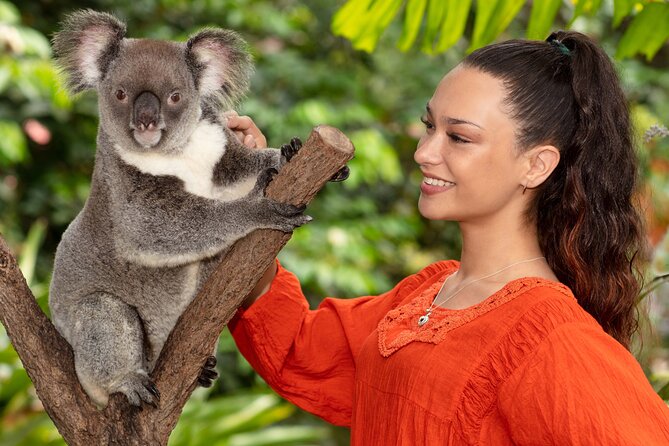 Kuranda Wildlife Experience Deluxe Multi Attraction Pass - Accessibility and Group Size