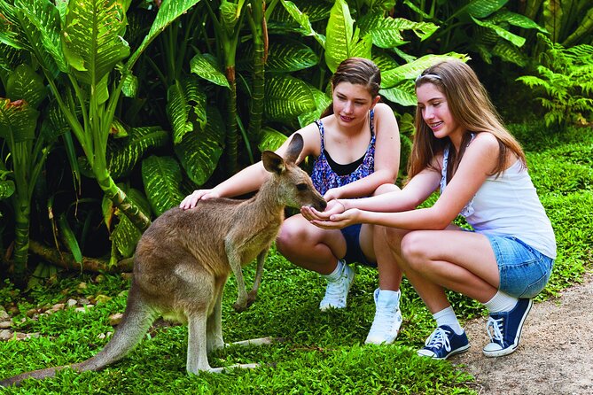 Kuranda Wildlife Experience Deluxe Multi Attraction Pass - Meeting Point and Confirmation