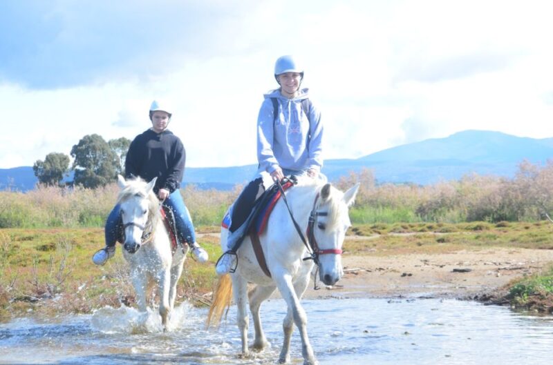 Kusadasi: Beach and Forest Horse Riding Tour - Itinerary and Logistics