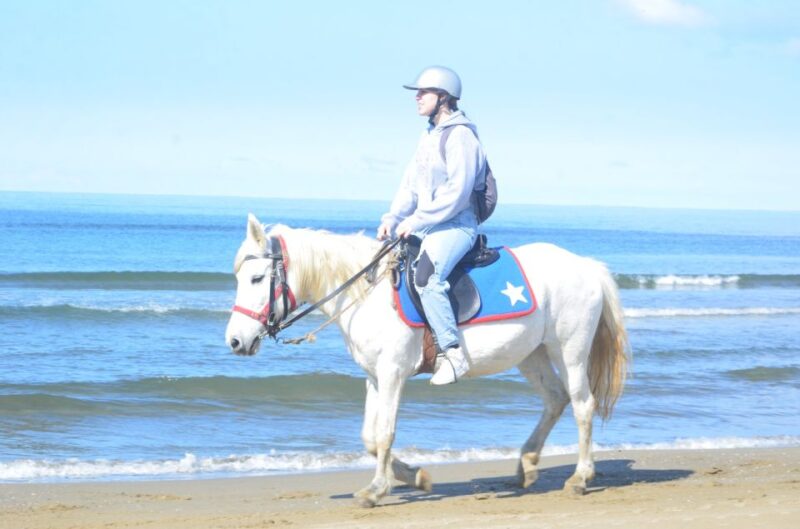 Kusadasi: Beach and Forest Horse Riding Tour - Horse Riding Techniques