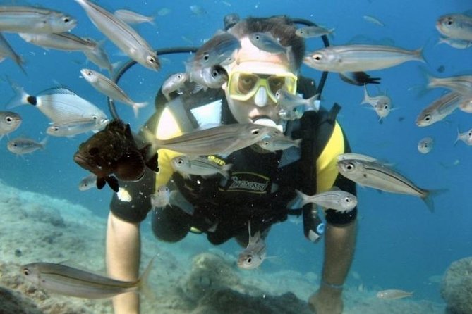 Kusadasi Beginner'S Scuba Dive W/Boat Ride & Lunch - Preparation and Physical Requirements