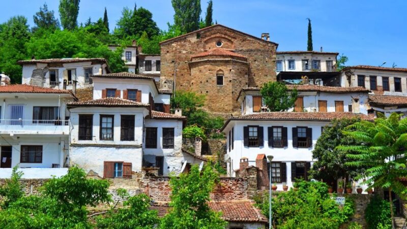 Kusadasi: Ephesus and Sirince Skip-the-Line Shore Excursion - Experience Highlights