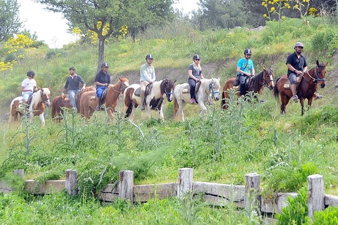 Kusadasi Horse Riding On Beach And Through The River - Cancellation Policy