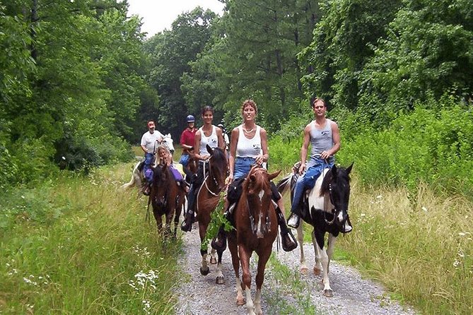 Kusadasi Horseback Riding - Special Offers and Customer Service