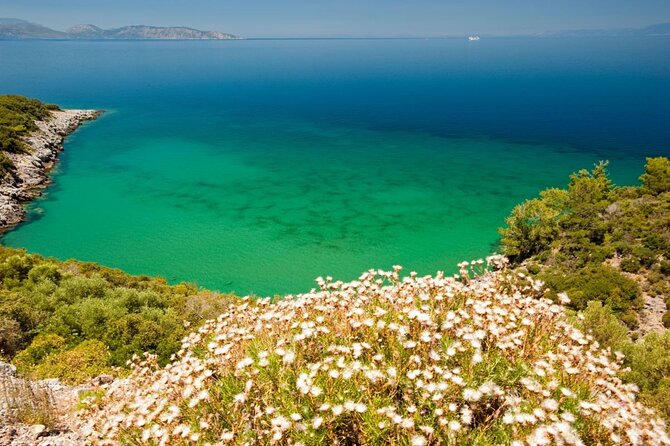 Kusadasi Jeep Safari Adventure - Convenient Pickup and Drop-off