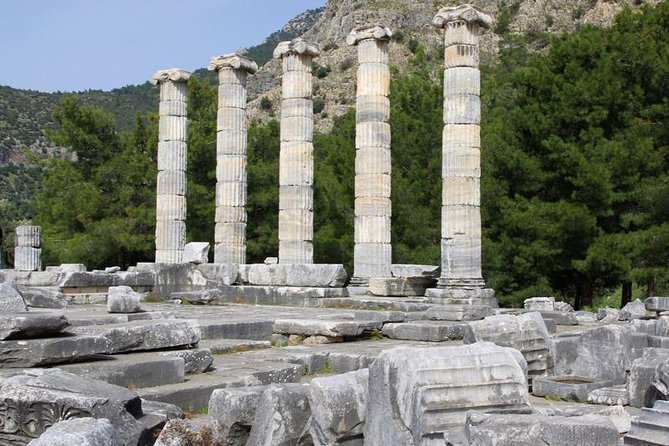 Kusadasi Port to Ephesus, Terrace Houses, Selcuk Museum, Temple of Artemis - Health and Safety