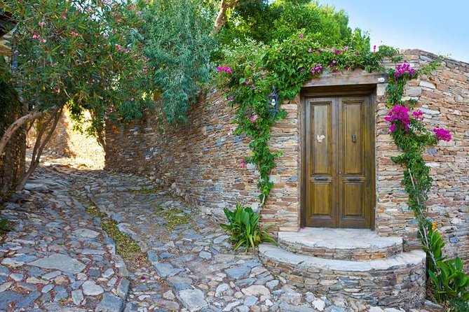 Kusadasi Port to Ephesus, Terrace Houses, Selcuk Museum, Temple of Artemis - Ephesus Ancient City