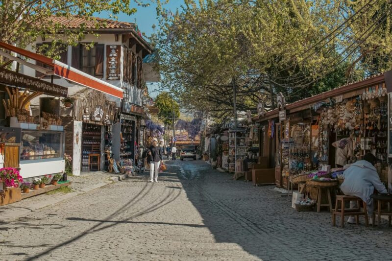 Kusadasi: Private Ephesus & Sirince Village Shore Excursion - Inclusions and Additional Costs