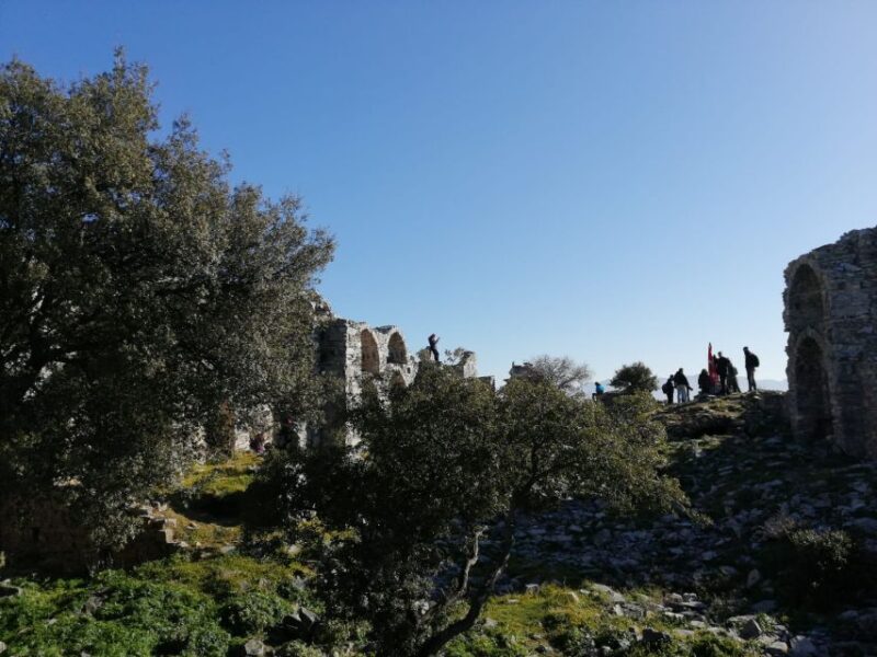Kusadasi: Private Ephesus Tour For Cruisers - Key Points
