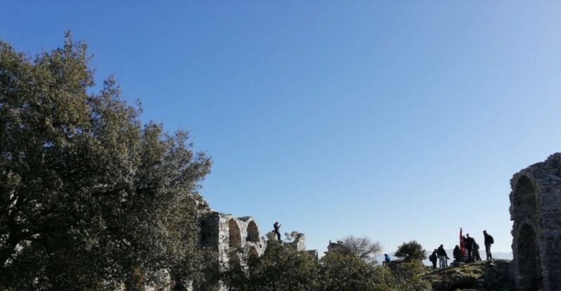 Kusadasi: Private Ephesus Tour For Cruisers - Inclusions