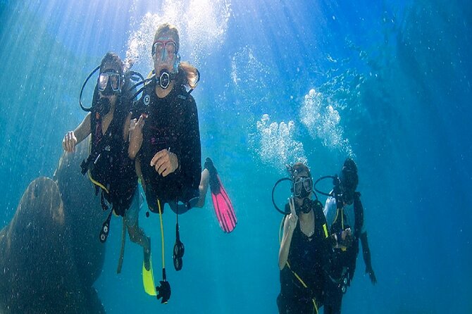 Kusadasi Scuba Diving - Pickup and Transportation