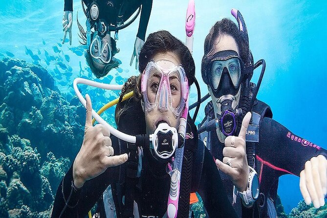 Kusadasi Scuba Diving - Booking and Cancellation Policy