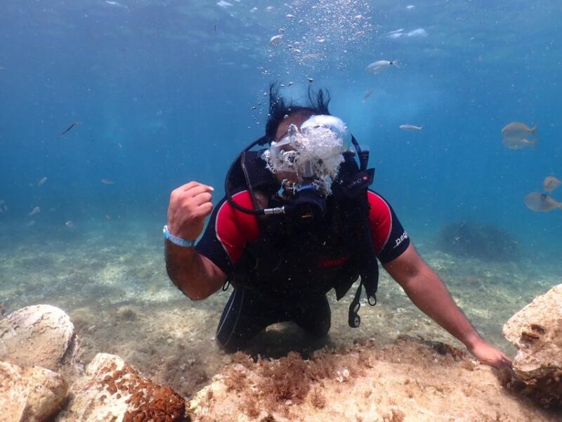Kusadasi Scuba Diving - Experience Highlights