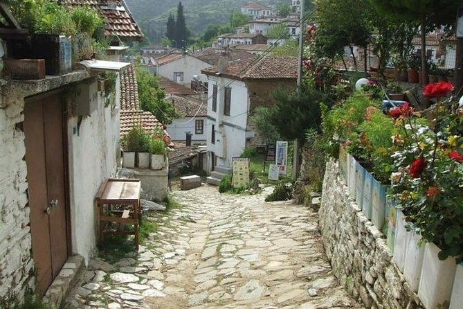 Kusadasi Shore Excursion: Private Full-Day Tour to Ephesus, Didyma and Miletus - Customer Experiences and Feedback