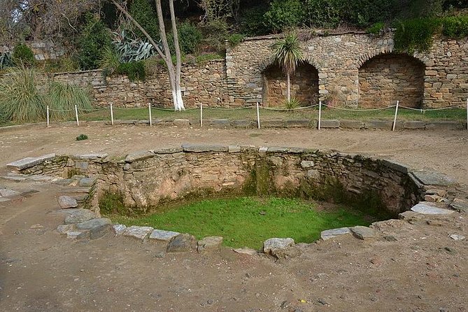 Kusadasi Shore Excursion: Private Tour to Ephesus and the House of Virgin Mary - Cancellation Policy