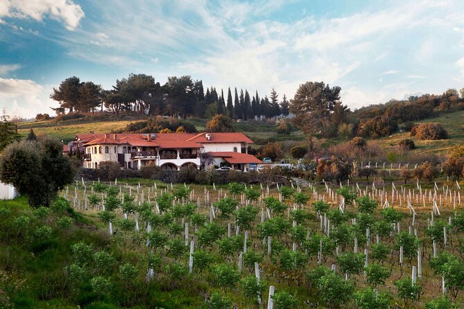Kusadasi Shore Excursions Ephesus and Wine Tasting Tours - Wine Tasting Experience