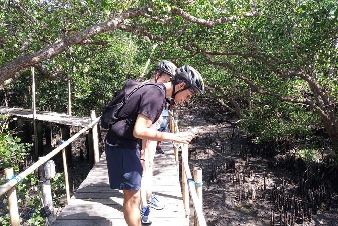 Kuta Beach Ebike Tour - Tour Itinerary and Experiences