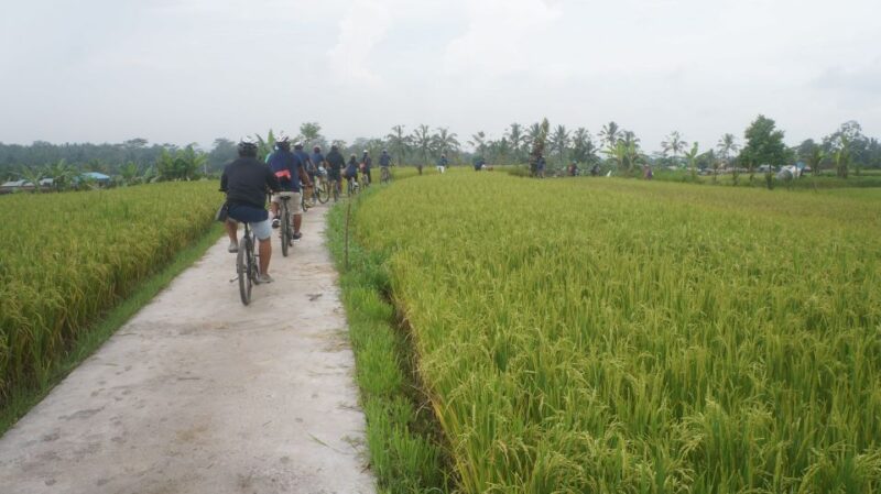 Kuta: Kintamani Culture and Nature Guided Cycling Tour - Itinerary Highlights