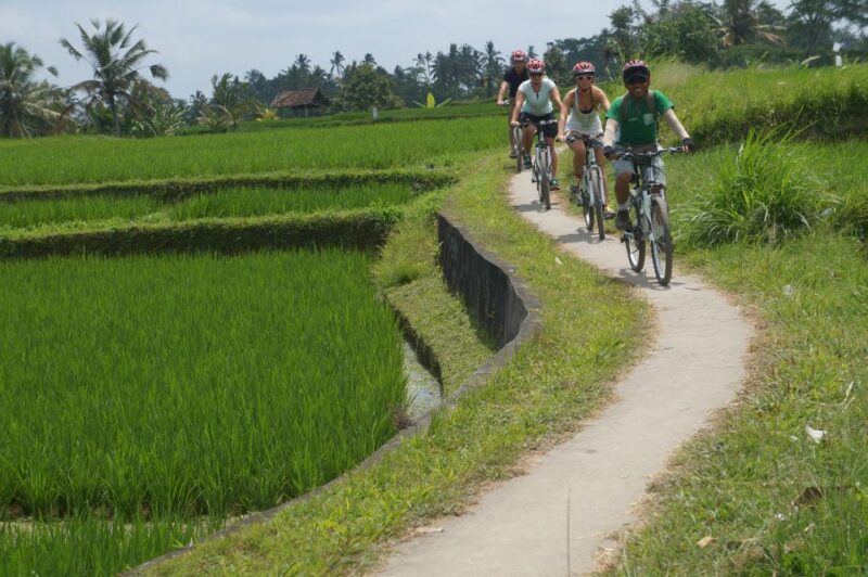 Kuta: Kintamani Culture and Nature Guided Cycling Tour - Participant Restrictions
