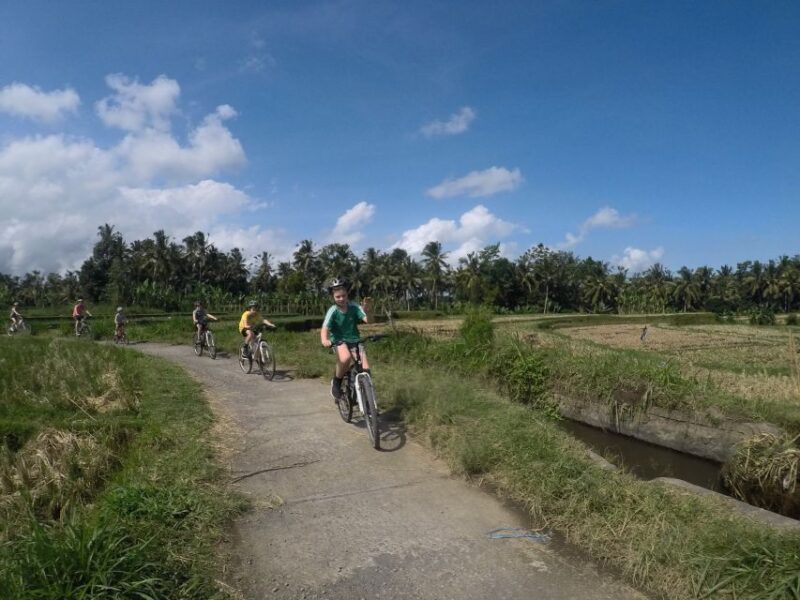 Kuta: Kintamani Culture and Nature Guided Cycling Tour - Important Information