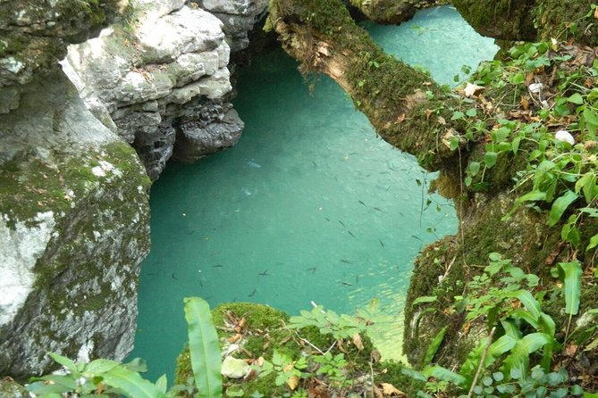 Kutaisi.All Inclusive Tour in Imereti Region - Key Points