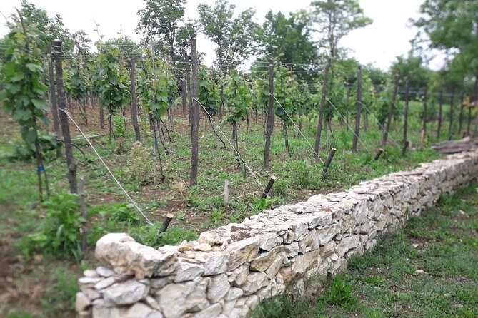 Kutaisi, Prometheus Cave and Wine Tour - Accessibility and Confirmation