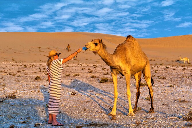 Kuwait Desert & City Half Day Private Tour Local Licensed Guide - Pickup and Drop-off