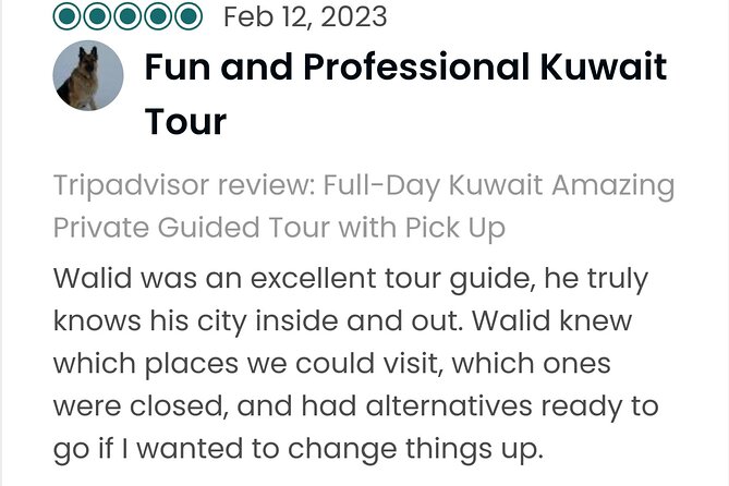Kuwait Desert & City Half Day Private Tour Local Licensed Guide - Group Size