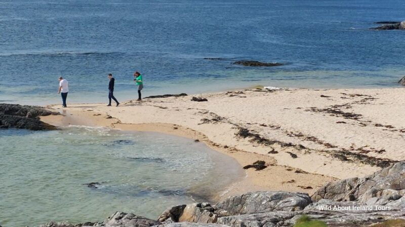 Kylemore, Sheep Farm and Connemara Private Limousine Tour - Experience and Activities