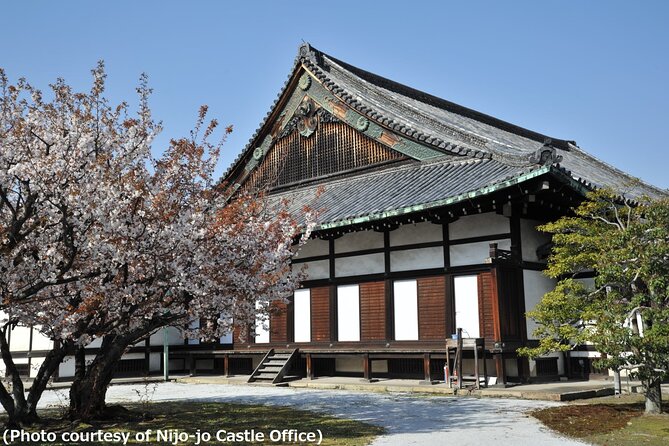 Kyoto 1 Day Trip-Golden Pavilion & Kiyomizu Temple From Osaka - Guided Tour With Expert Guide