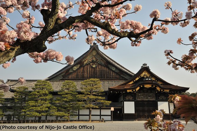 Kyoto 1 Day Trip-Golden Pavilion & Kiyomizu Temple From Osaka - Tour Details and Additional Info