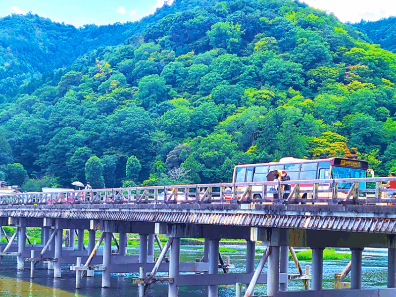 Kyoto: 12 Top Highlights Full-Day Guided City Tour - Inclusions and Exclusions