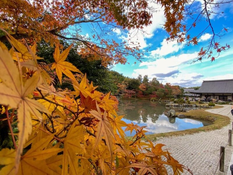 Kyoto: 2-Hour Guided Tour of Arashiyamas Autumn Leaves - Tenryuji Temple Visit