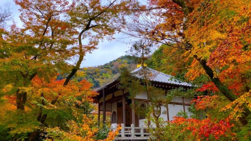 Kyoto: 2-Hour Guided Tour of Arashiyamas Autumn Leaves - Togetsu Bridge Viewpoint