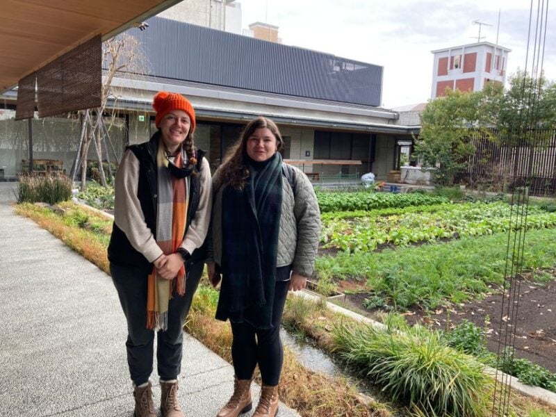Kyoto: 3-Hour Food Tour With Tastings in Nishiki Market - Tasting the Local Delicacies