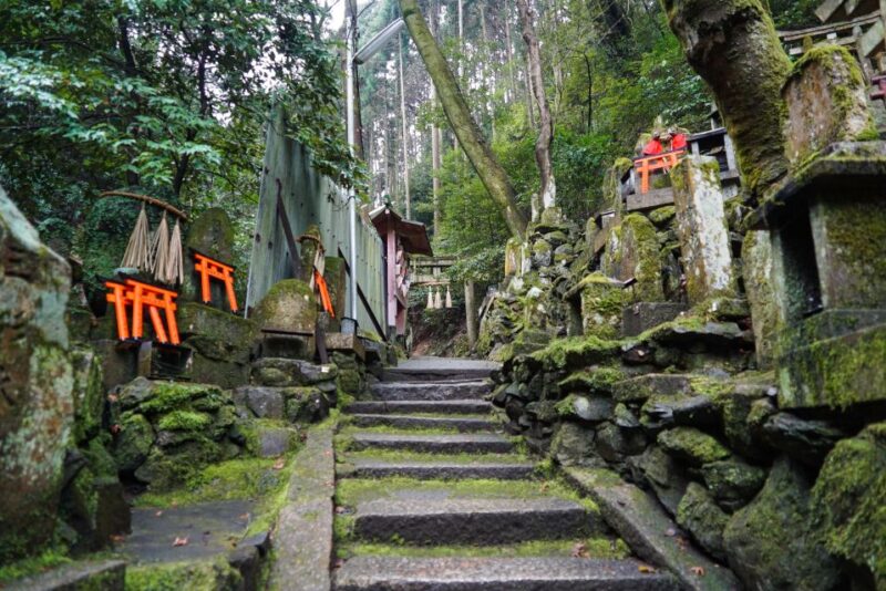 Kyoto: 3-Hour Fushimi Inari Shrine Hidden Hiking Tour - Visiting Tofukuji Temple