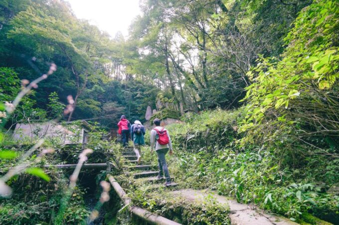 Kyoto: 3-Hour Fushimi Inari Shrine Hidden Hiking Tour - Discovering Viewpoints