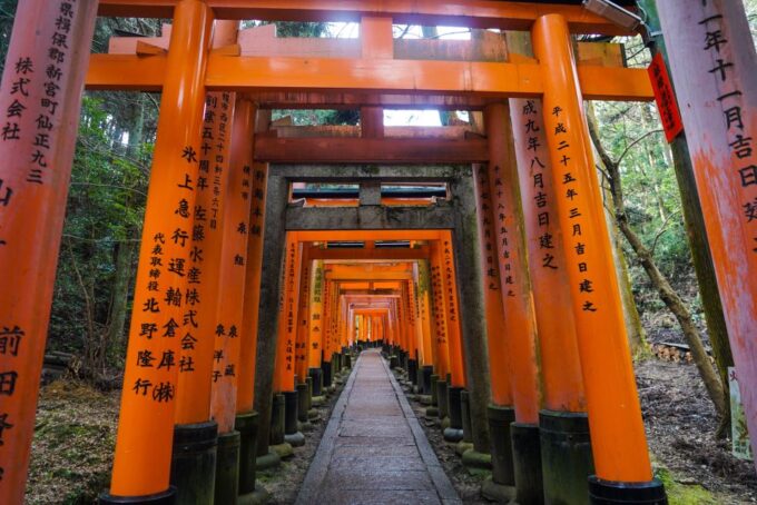 Kyoto: 3-Hour Fushimi Inari Shrine Hidden Hiking Tour - Frequently Asked Questions