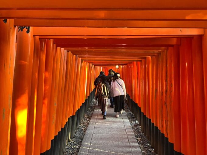 Kyoto: 3 UNESCO World Heritage & Fushimi Inari 1 Day Tour - Inclusions and Exclusions