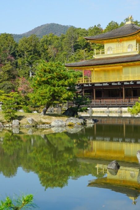 Kyoto: 4-Hour Historical Highlights Cycling Tour With Lunch - Whats Included